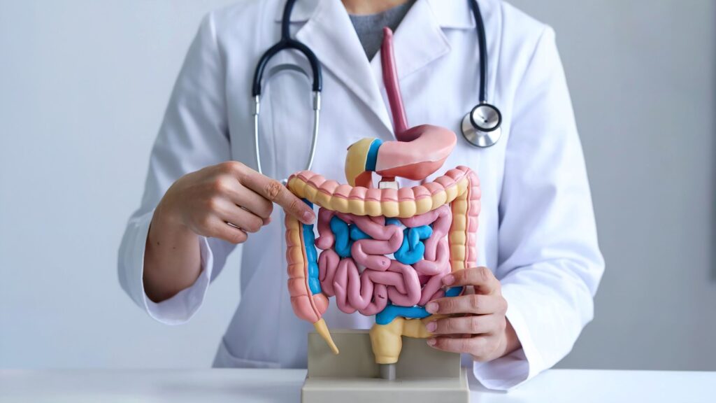 Desnutrição Hospitalar e os Desafios da Nutrição Enteral